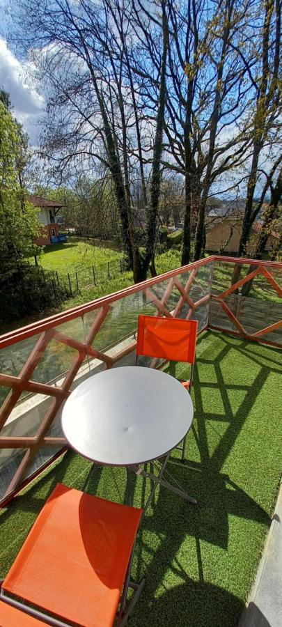 Ferienwohnung Le Petit Park-Studio-Terrasse- Piscine-Wifi Fibre Pau Exterior foto