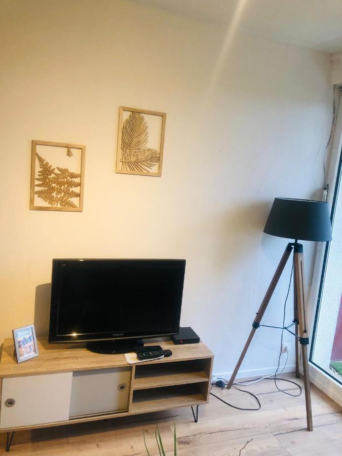 Ferienwohnung Le Petit Park-Studio-Terrasse- Piscine-Wifi Fibre Pau Exterior foto
